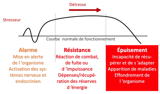 cortisol